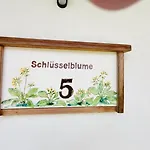 Stodertraum 5 